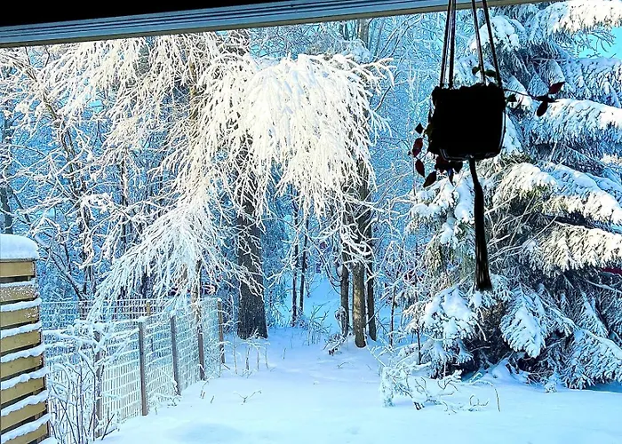 Helmi Villa, Keskellae Sauna Ilmainen Pysaekoeinti Wi-fi 75 Smarttv Omapiha Apartment